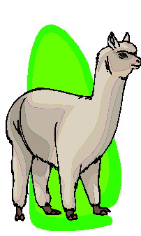 lama-ruchomy-obrazek-0011