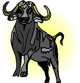 bawol-ruchomy-obrazek-0044