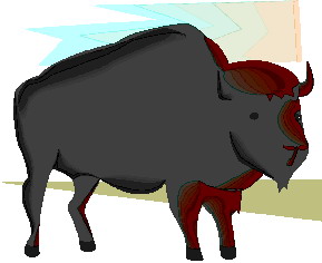 bawol-ruchomy-obrazek-0052