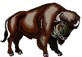 bawol-ruchomy-obrazek-0053