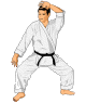 judo-ruchomy-obrazek-0028
