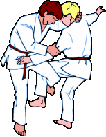 judo-ruchomy-obrazek-0032