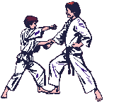 karate-ruchomy-obrazek-0011