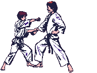 karate-ruchomy-obrazek-0011