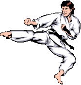 karate-ruchomy-obrazek-0012
