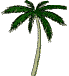 palma-ruchomy-obrazek-0021