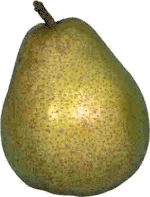 gruszka-ruchomy-obrazek-0005