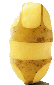 kartofel-i-ziemniak-ruchomy-obrazek-0011