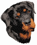 rottweiler-ruchomy-obrazek-0064