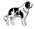 bernardyn-ruchomy-obrazek-0046