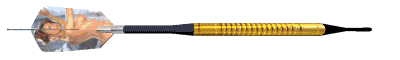 rzutka-ruchomy-obrazek-0003
