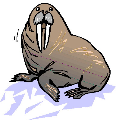 mors-ruchomy-obrazek-0011