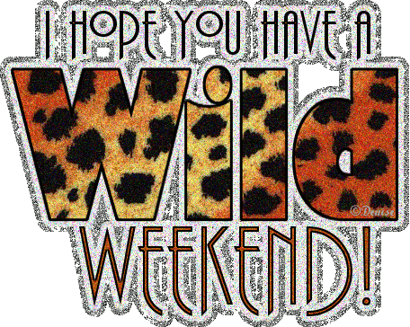 weekend-ruchomy-obrazek-0002