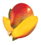 mango-ruchomy-obrazek-0008