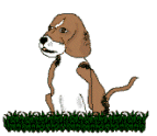pies-beagle-ruchomy-obrazek-0026