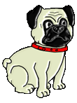 mops-ruchomy-obrazek-0026