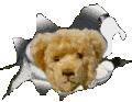 niedzwiedz-i-mis-ruchomy-obrazek-0020