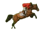 jezdziectwo-ruchomy-obrazek-0019