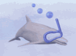 delfin-ruchomy-obrazek-0082