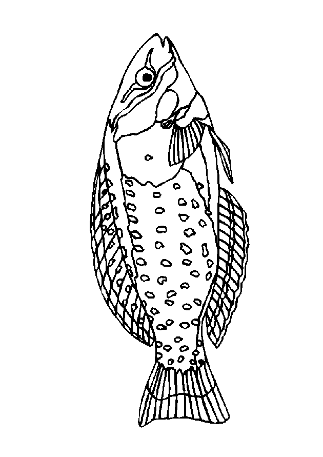 kolorowanka-ryba-ruchomy-obrazek-0015