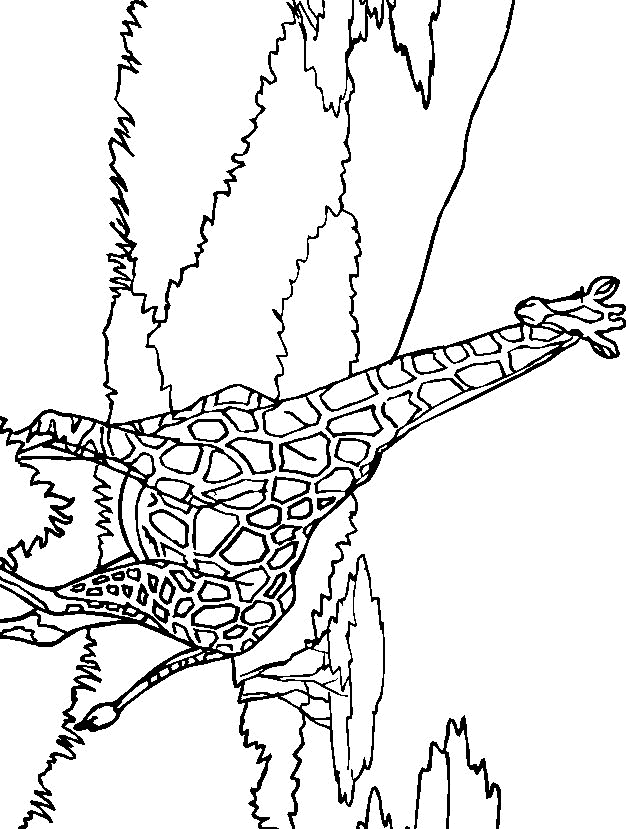 kolorowanka-zyrafa-ruchomy-obrazek-0006