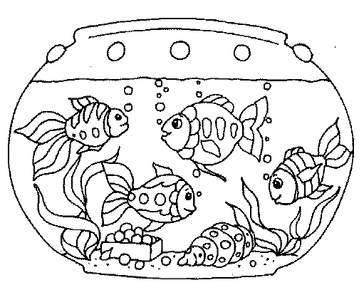 kolorowanka-akwarium-ruchomy-obrazek-0010