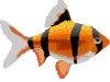 ryba-ruchomy-obrazek-0049