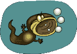 ryba-ruchomy-obrazek-0093