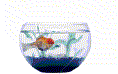 ryba-ruchomy-obrazek-0504