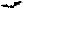 nietoperz-ruchomy-obrazek-0019
