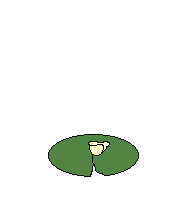 zaba-ruchomy-obrazek-0067