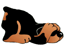 pies-ruchomy-obrazek-0290