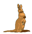 kangur-ruchomy-obrazek-0018