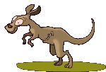 kangur-ruchomy-obrazek-0047