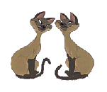 kot-i-kicia-ruchomy-obrazek-0297