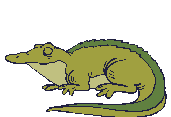 krokodyl-ruchomy-obrazek-0022