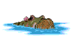 hipopotam-ruchomy-obrazek-0074