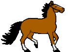 kon-ruchomy-obrazek-0278