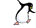 pingwin-ruchomy-obrazek-0055