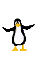 pingwin-ruchomy-obrazek-0056