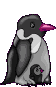 pingwin-ruchomy-obrazek-0081