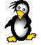 pingwin-ruchomy-obrazek-0120