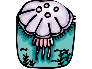 meduza-ruchomy-obrazek-0018