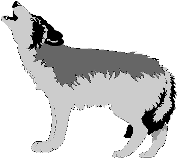 wilk-ruchomy-obrazek-0152