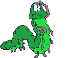 robak-i-robal-ruchomy-obrazek-0141