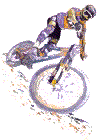 rower-ruchomy-obrazek-0028