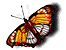 motyl-ruchomy-obrazek-0043