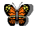 motyl-ruchomy-obrazek-0047
