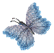 motyl-ruchomy-obrazek-0167