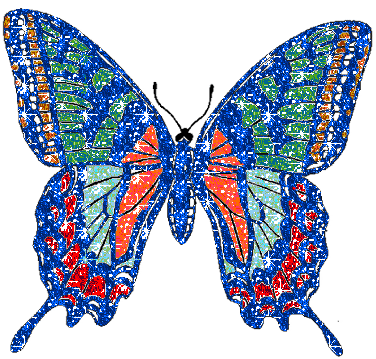 motyl-ruchomy-obrazek-0407